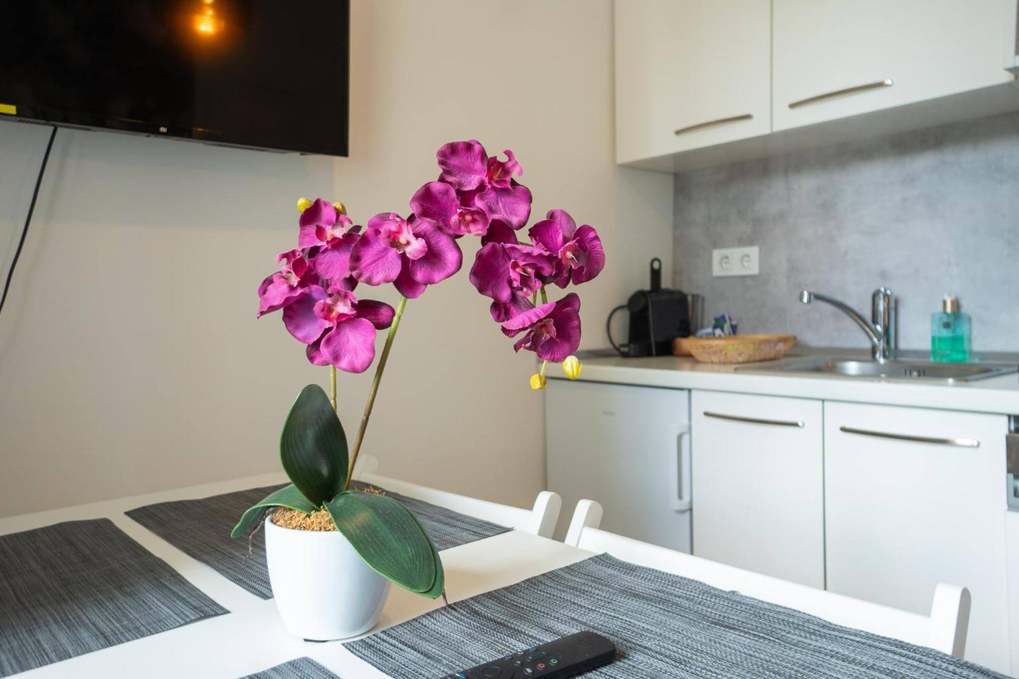 וינה Dainn Apartments Schoenbrunn מראה חיצוני תמונה