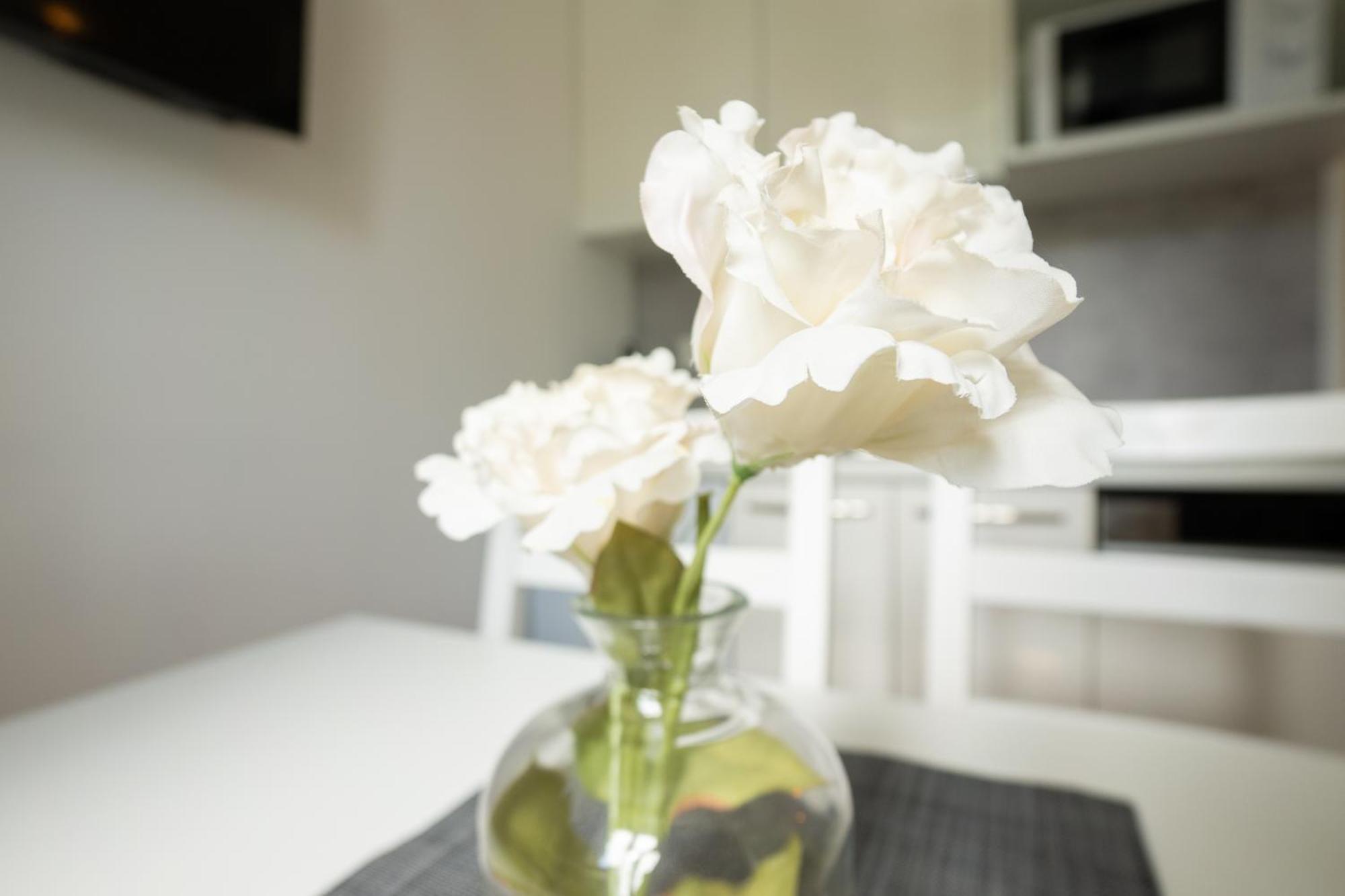 וינה Dainn Apartments Schoenbrunn מראה חיצוני תמונה